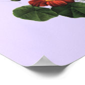 Siamese Kitten VS Ladybugポスター ポスター (角)