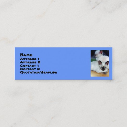 Siamese Kittensプロファイルカード スキニー名刺 (正面)