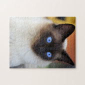 Siamese kitty cat with lovely big blue eyes ジグソーパズル (横)