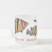 Siamese Tiger fish フロストグラスマグカップ (正面左)