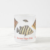 Siamese Tiger fish フロストグラスマグカップ (中央)