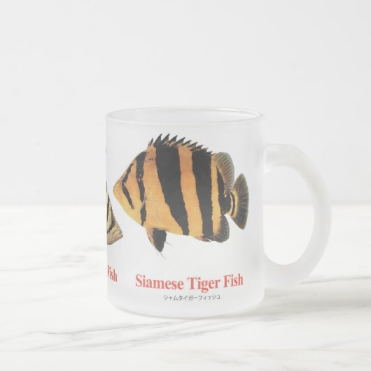 Siamese Tiger fish フロストグラスマグカップ (右)