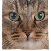Siberian Cat Face Shower Curtain シャワーカーテン (正面)