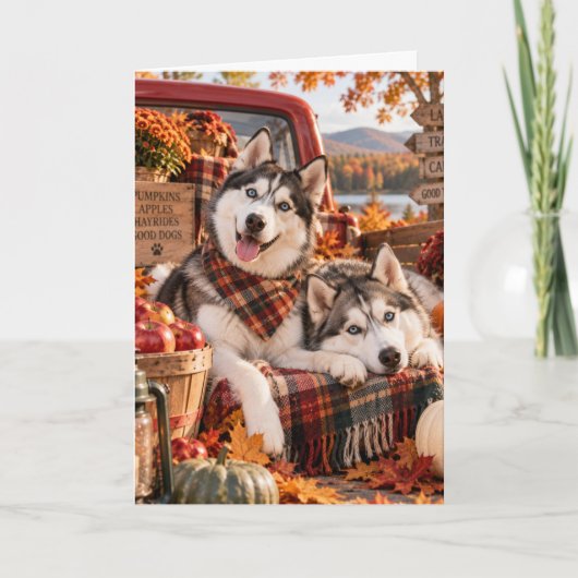 Siberian Huskies Fall Greeting Card カード (正面)