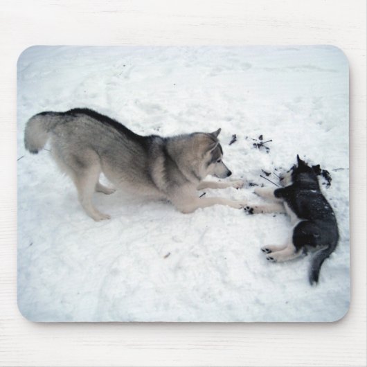 Siberian Huskies - Mousepad マウスパッド (正面)