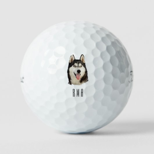 Siberian Husky ゴルフボール (正面)