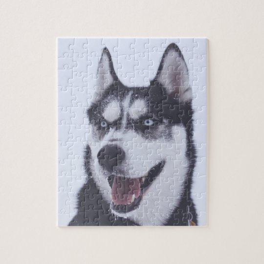 Siberian Husky ジグソーパズル