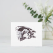 SIBERIAN HUSKY ポストカード (スタンド正面)