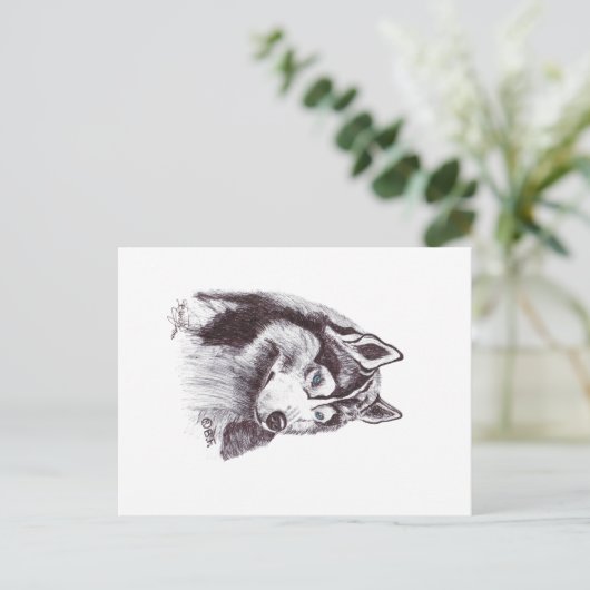 SIBERIAN HUSKY ポストカード (スタンド正面)