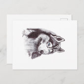 SIBERIAN HUSKY ポストカード (正面/裏面)