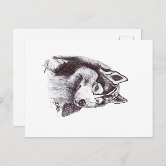 SIBERIAN HUSKY ポストカード (正面/裏面)