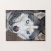 Siberian_Husky_blue-eyed.png ジグソーパズル (横)