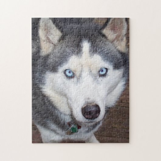 Siberian_Husky_blue-eyed.png ジグソーパズル (縦)