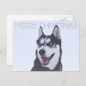 Siberian Husky-Christmas シーズンポストカード (正面/裏面)