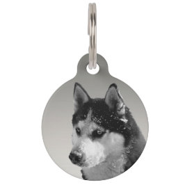 Siberian Husky Huskybild Haustiermarke ペット　ネームタグ