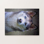 Siberian Husky Jigsaws. ジグソーパズル (横)