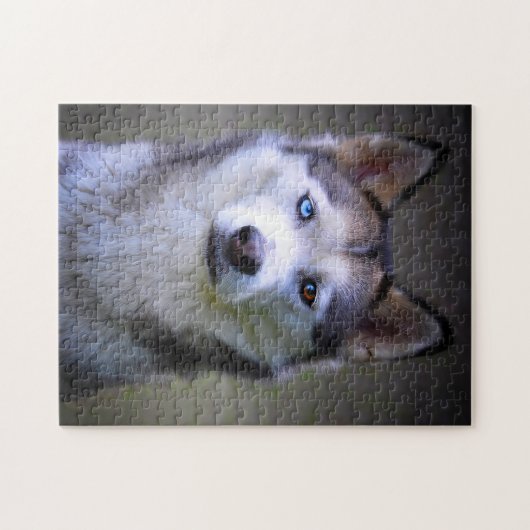 Siberian Husky Jigsaws. ジグソーパズル (横)