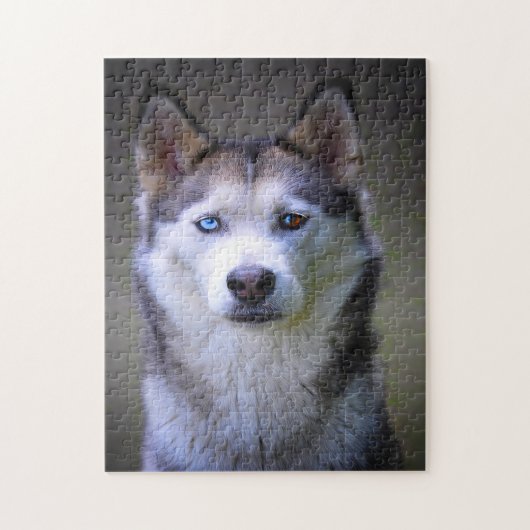 Siberian Husky Jigsaws. ジグソーパズル (縦)