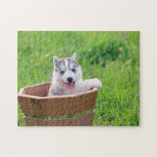 Siberian Husky Puppy in a Pot ジグソーパズル (横)