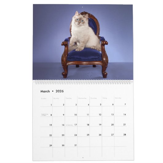 Siberian Kittens Calendar カレンダー (3月 2026)