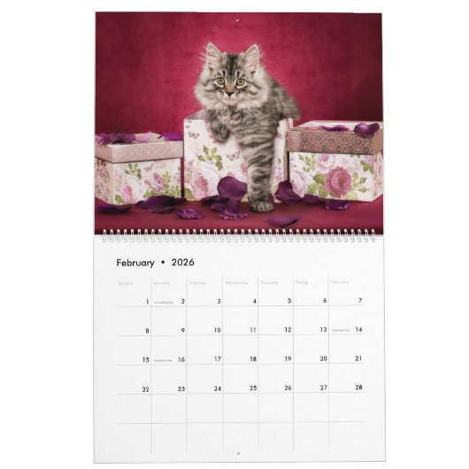 Siberian Kittens Calendar カレンダー (2月 2026)
