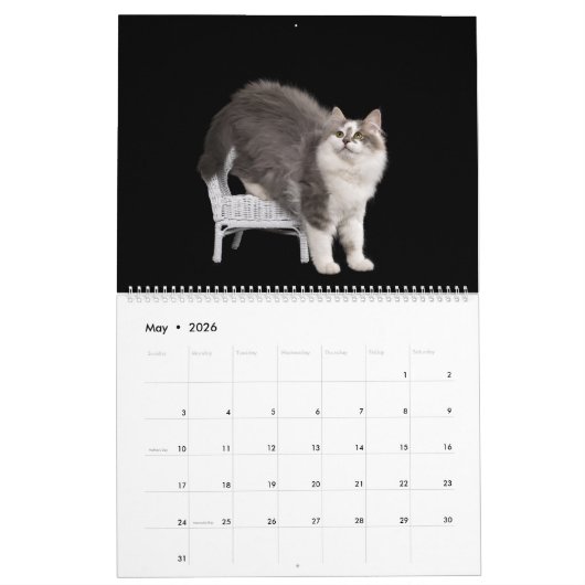 Siberian Kittens Calendar カレンダー (5月 2026)
