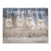 Siberian Kittens Calendar カレンダー (カバー)