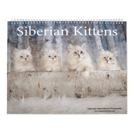 Siberian Kittens Calendar カレンダー