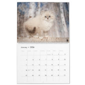 Siberian Kittens Calendar カレンダー (1月 2026)
