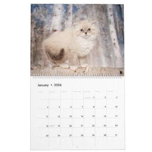 Siberian Kittens Calendar カレンダー (1月 2026)