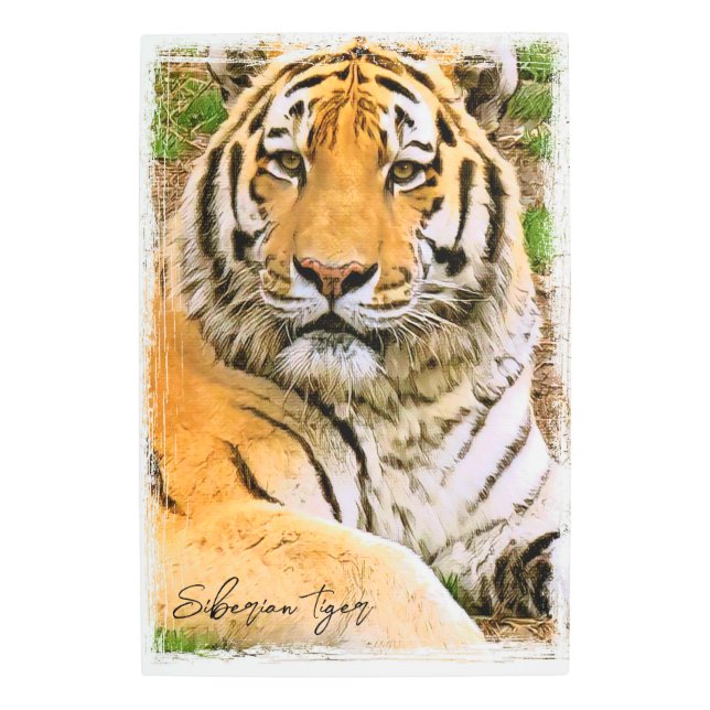 Siberian Tiger メタルプリント (正面)