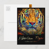 Siberian Tiger [Postcard] ポストカード (正面/裏面)