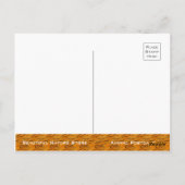 Siberian Tiger [Postcard] ポストカード (裏面)