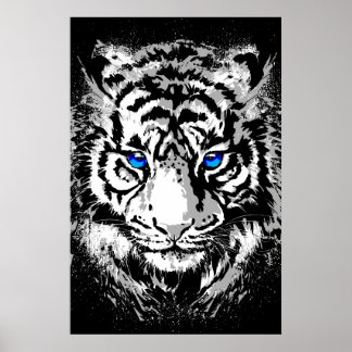 Siberian White Tiger Head - Tiger Poster Blue Eyes ポスター