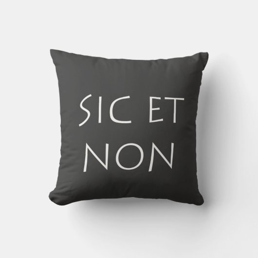 sicとnon クッション (正面)