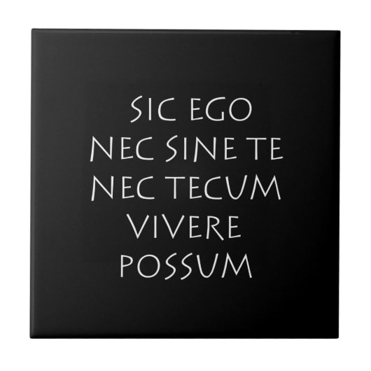 Sic ego nec tec teccum vivere possum タイル (正面)