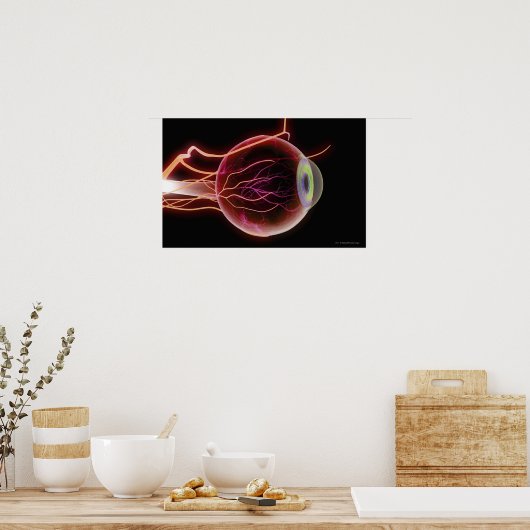 Side view of the blood vessels of the eye ポスター (キッチン)