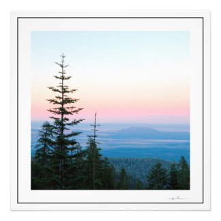 Sidhartaによる無限の空の松の木 フォトプリント