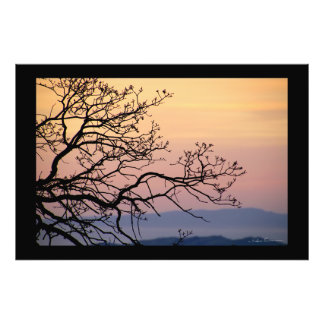 Sidharta Pascualによる夕日の枝のシルエット フォトプリント