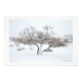 Sidharta Pascualによる雪の木 フォトプリント