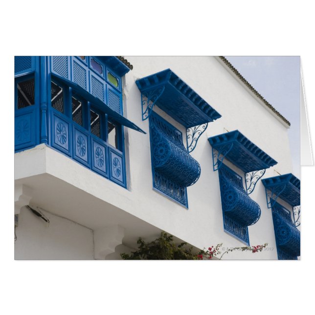 Sidi Bou氏はチュニジアで語った (正面横)