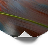 Sídney: Arte de Línea contemporáneo, coordenadas. ポスター (コーナー)