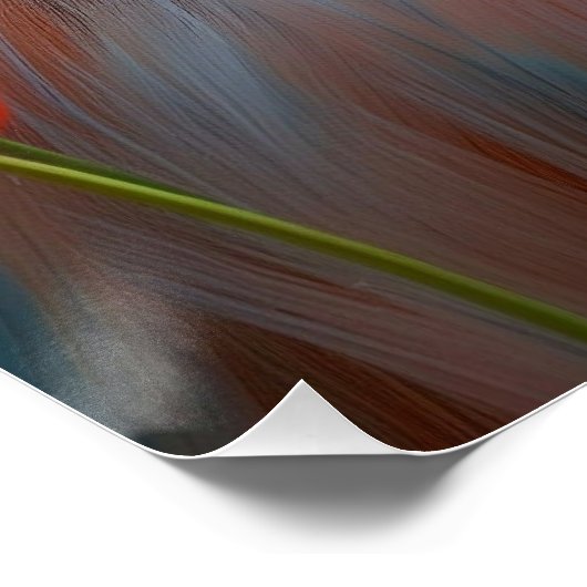 Sídney: Arte de Línea contemporáneo, coordenadas. ポスター (コーナー)