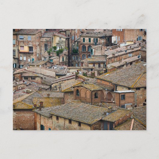 Sienaのはがきの屋根 ポストカード (正面)