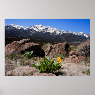 Sierra Mountain View ポスター