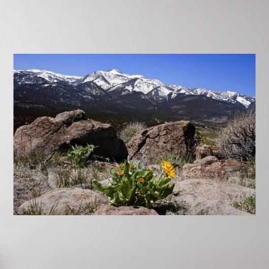 Sierra Mountain View ポスター (正面)