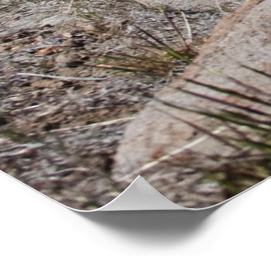 Sierra Mountain View ポスター (角)