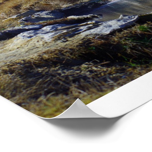 Sierra Mountains, Californie ポスター (角)