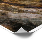 Sierra Nevada Mountain Road – Eastern Sierra Print ポスター (角)