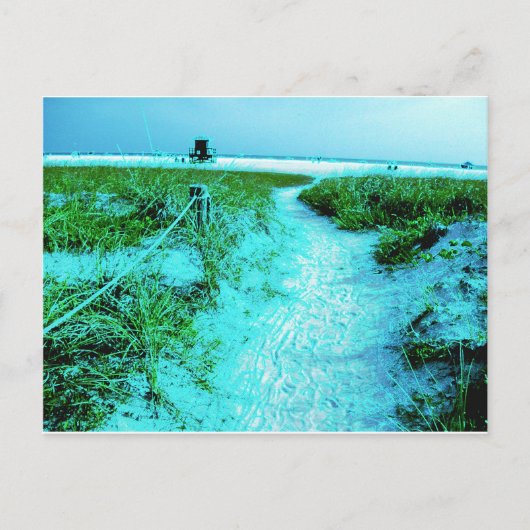Siesta Keys Beachのカラフルな縁取りのテーマ別ギフト ポストカード (正面)